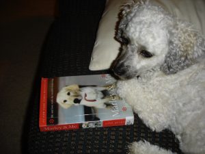 Moby with his paw on the Marley & Me book