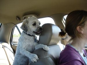 Moby as a backseat driver