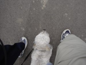 Moby always like to walk right between us